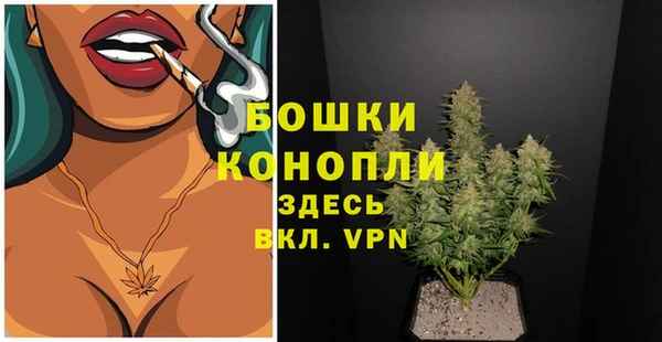 mix Богородск