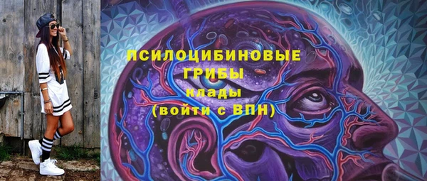 сатива Каменногорск