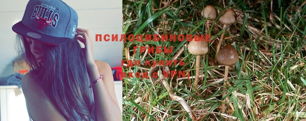 бутират Богданович