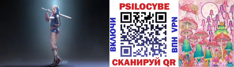 OMG рабочий сайт  Егорьевск  Псилоцибиновые грибы Cubensis 