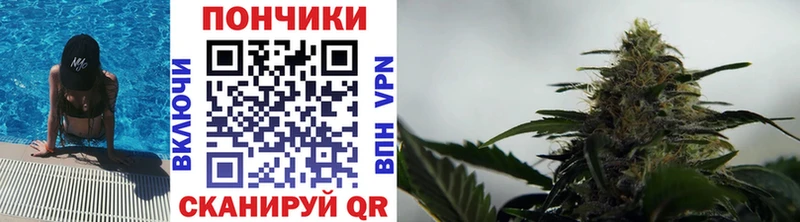 mega как зайти  Егорьевск  Конопля THC 21%  где купить наркоту 